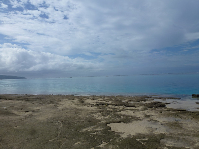 P1060443