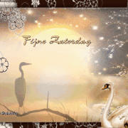 4.gif