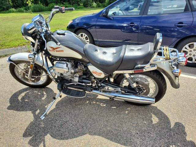 Guzzi