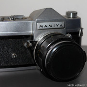 IMG-1659