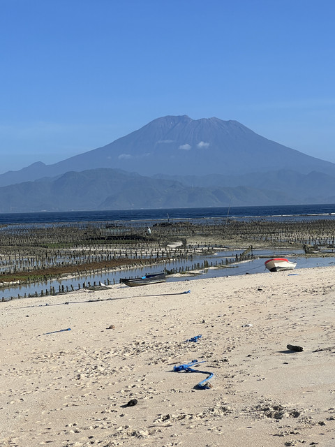 IMG-5490