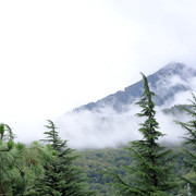 DSC7028