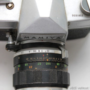 IMG-1638