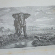 P1110233