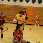 IMG-0015