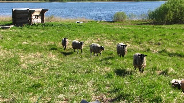 IMG-5551