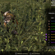 Screenshot-20210210-201256