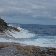 DSCF8613