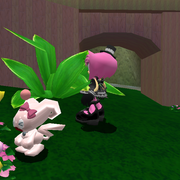 Leave-those-poor-flowers-alone