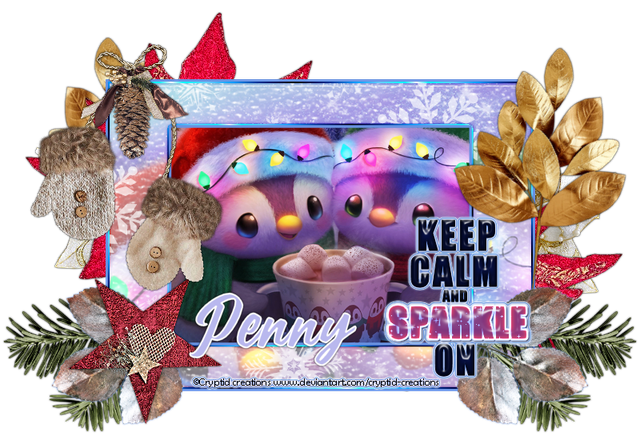 penny-CCIWW