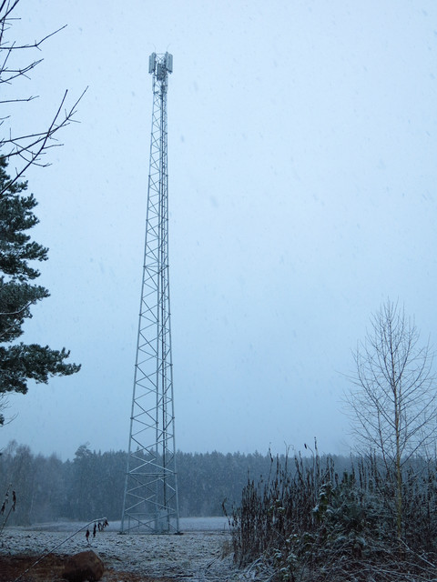 IMG-2259