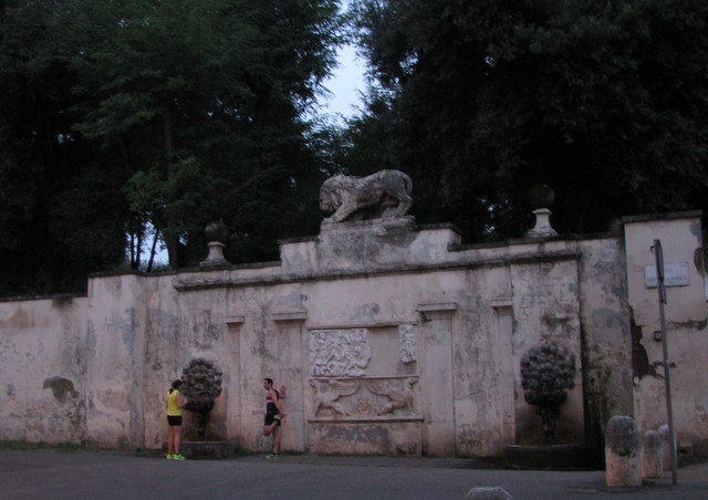 IMG-8832-2