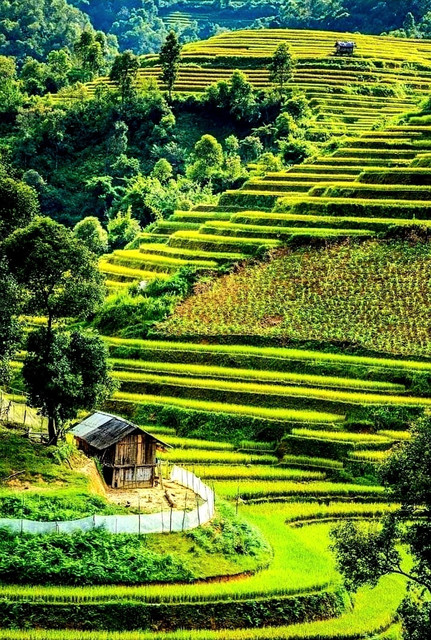 Philippines