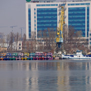 DSC03481