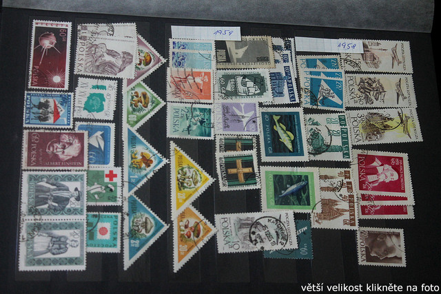IMG-3409.jpg
