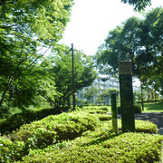 P1330445