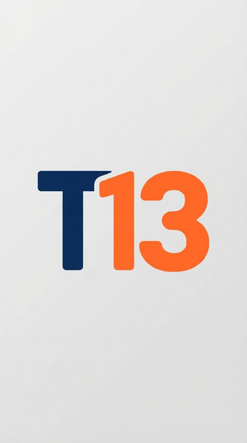 T13.jpg