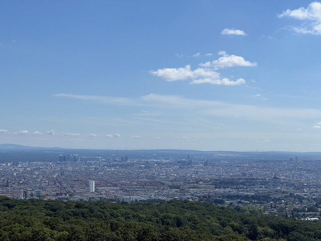 IMG-2245
