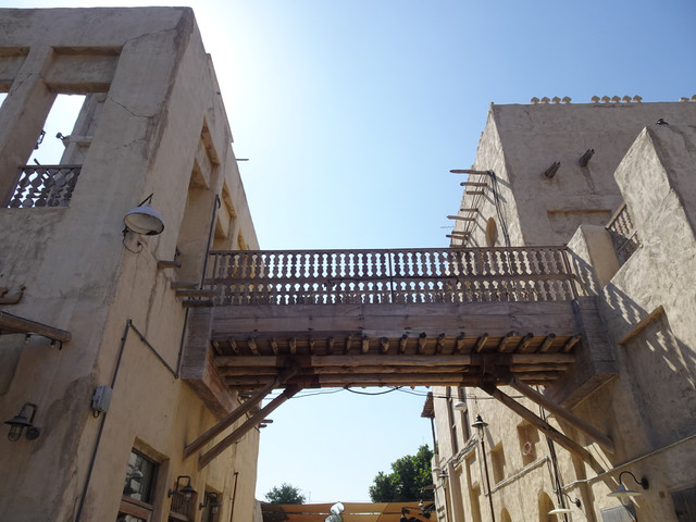 DSC08213.jpg