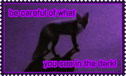 Untitled261 20260607154327.png
