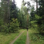 IMG-3995