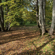 IMG-0544