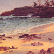 Bahama-Cove