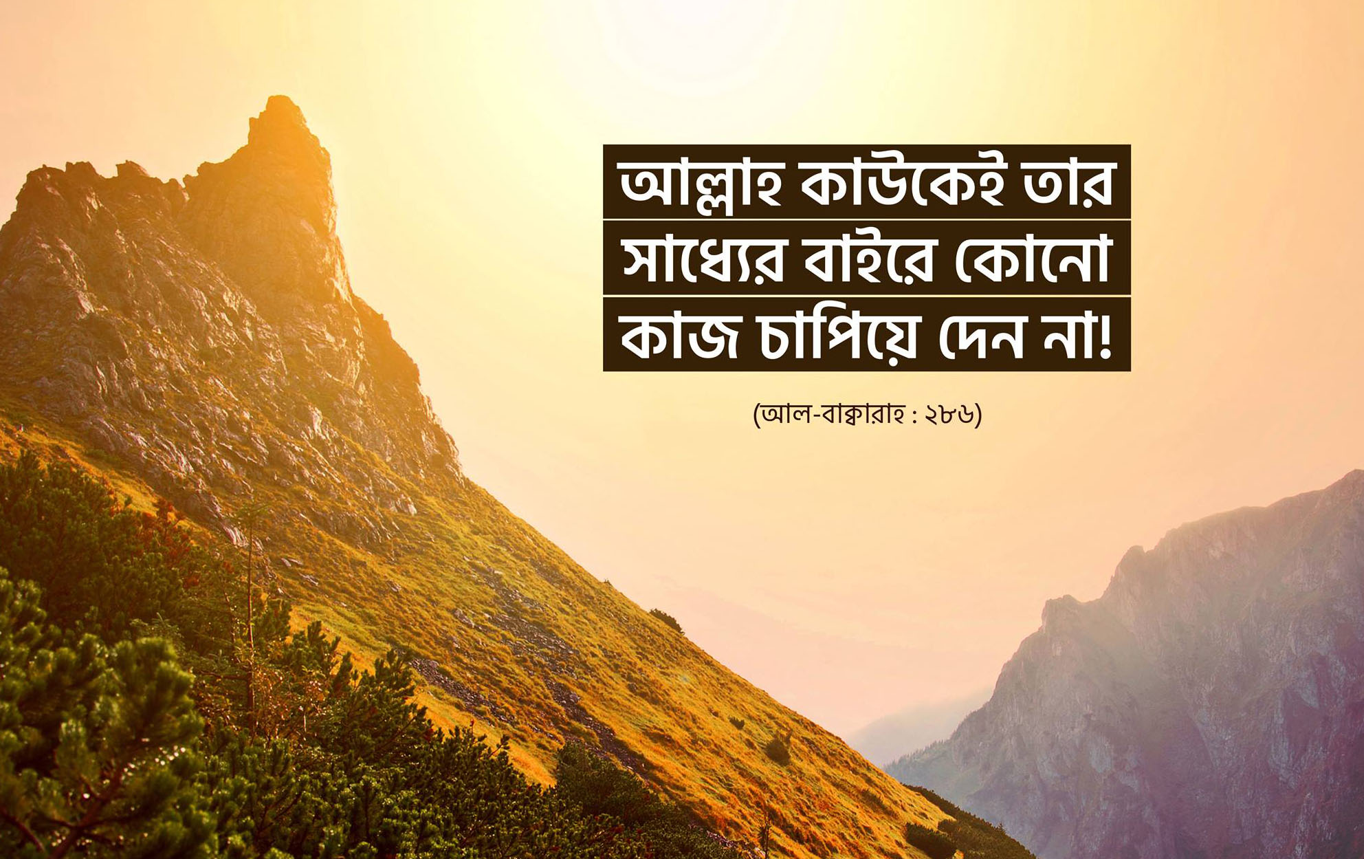 কাজ, পরীক্ষা