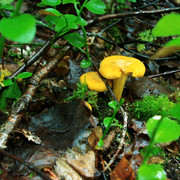 DSC07490