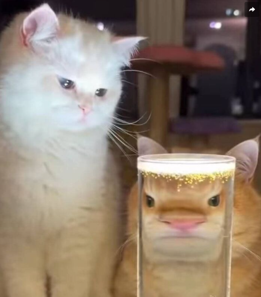 102.png