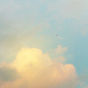VF-bb13