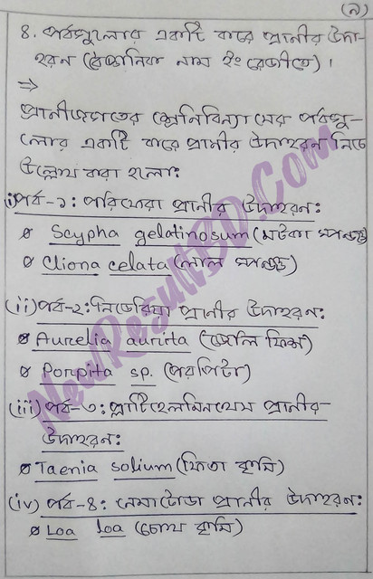 HSC Biology 8th Week Assignment 2022 Answer
