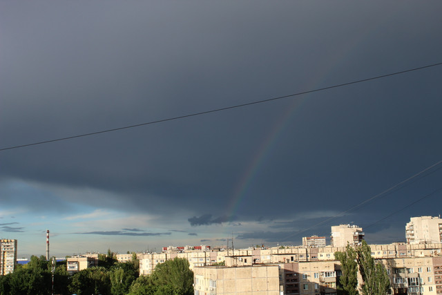 IMG-0445