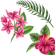 shutterstock-271809932