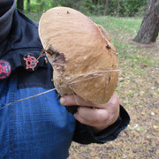 IMG-0903