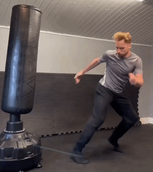[IMAGE:https://i.ibb.co/WDJrnsy/spinning-sidekick.gif]