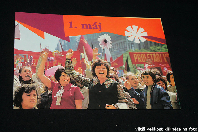 IMG-8626.jpg