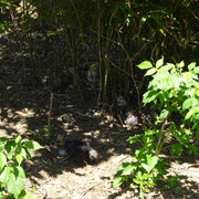 DSC03360