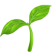 seedling-1f331