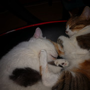 IMG-20220107-012919