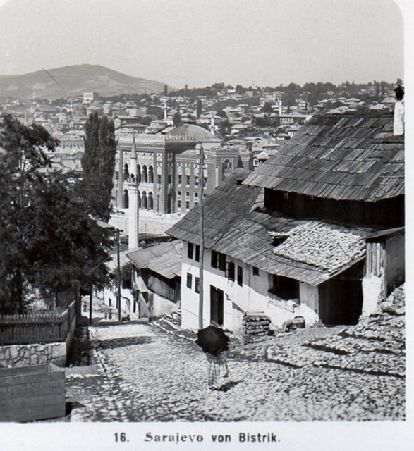 alifakovac.jpg
