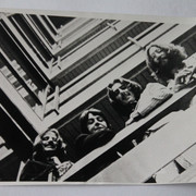 IMG-8620