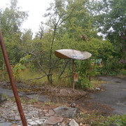 OLYMPUS-DIGITAL-CAMERA