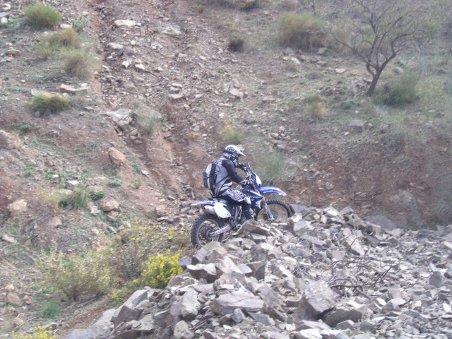 DSCF9483.jpg