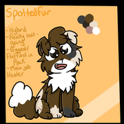 Spottedfur-reference