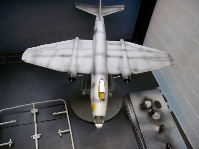 DSCN1687.jpg