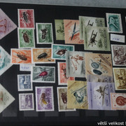 IMG-2618
