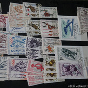 IMG-2037