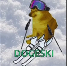 DOGESKI token logo