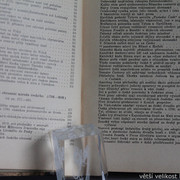 IMG-7545